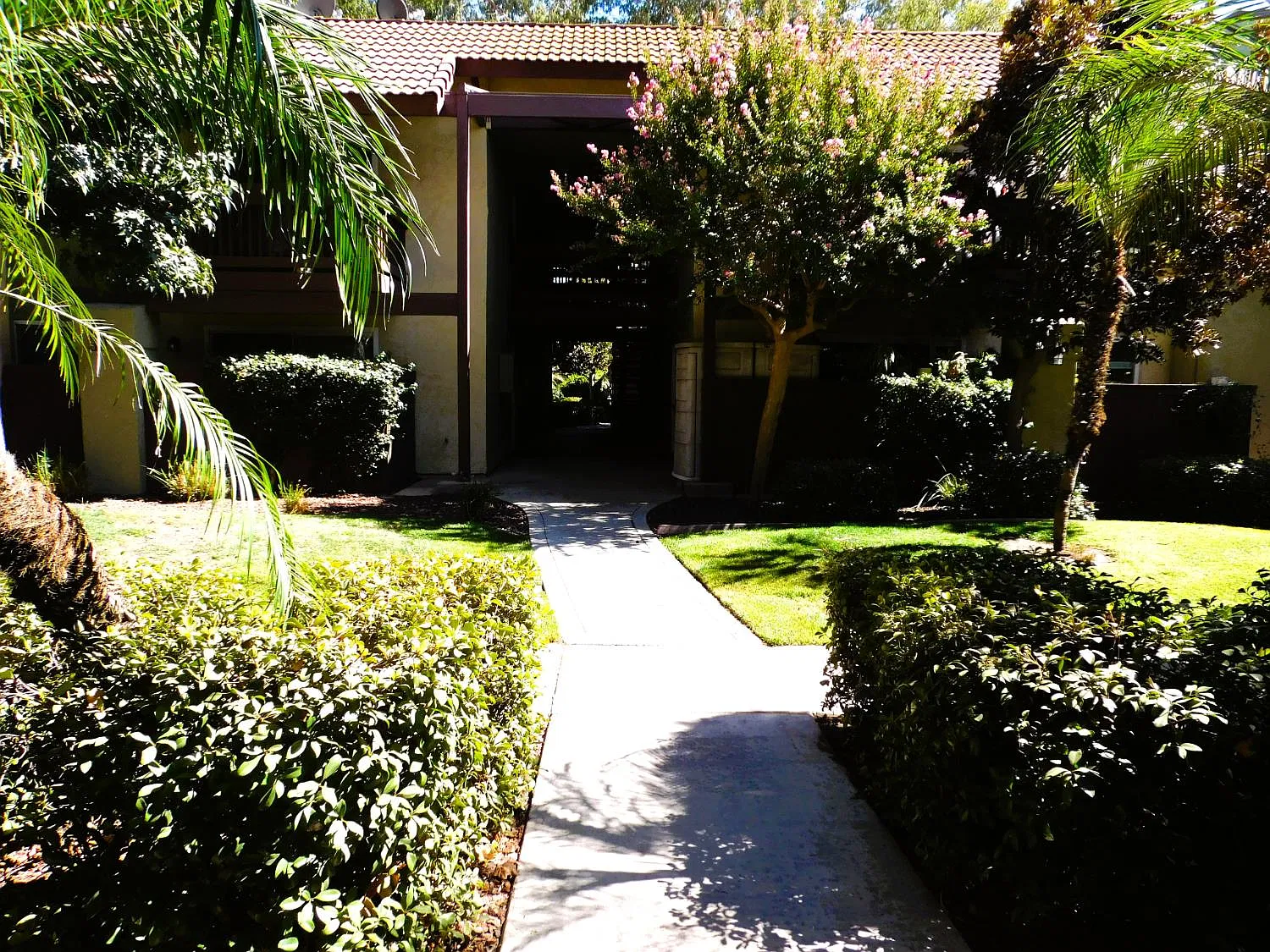 1 bed, 696 sqft, $1,200 — Photo 1