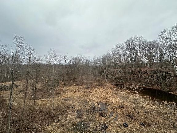 5th image of 390 Snuff Ridge Rd