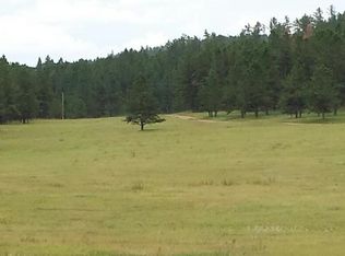 25729 Hazelton Rd, Custer, SD 57730