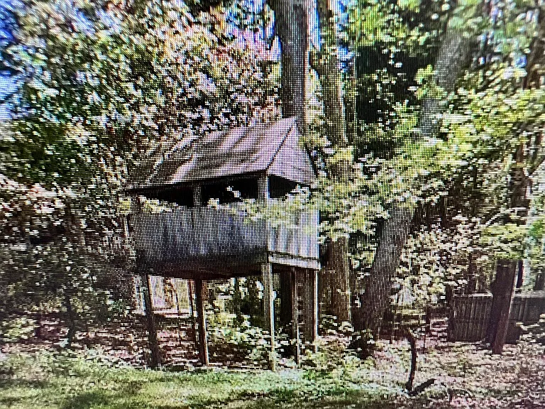 225 Hillstone Dr — Photo 12