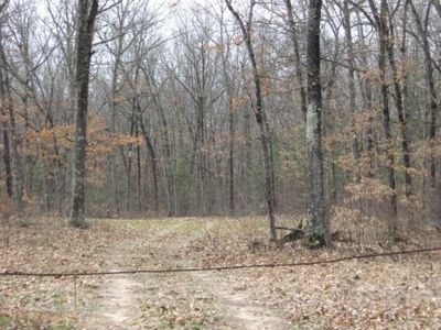 W North County Line Rd, Newaygo, MI, 49337