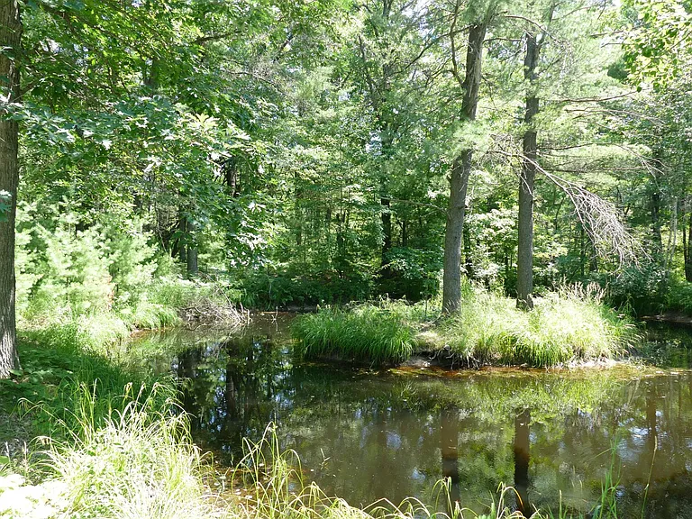 Pond