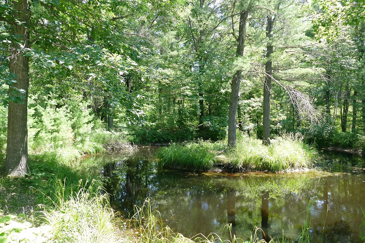 Pond - W5876 Bush Rd