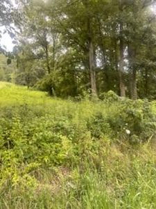 4300 Dale Williamson Rd, Union, KY, 41091
