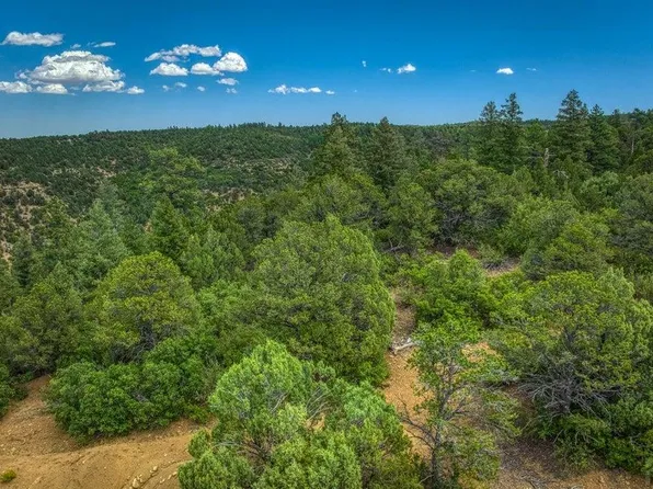 25501 Overlook Trl, Aguilar, CO 81020