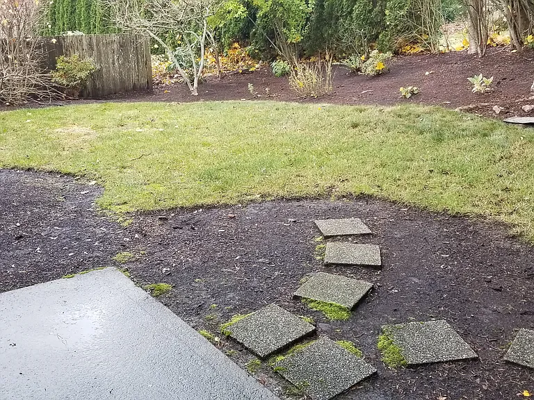 Back yard from patio