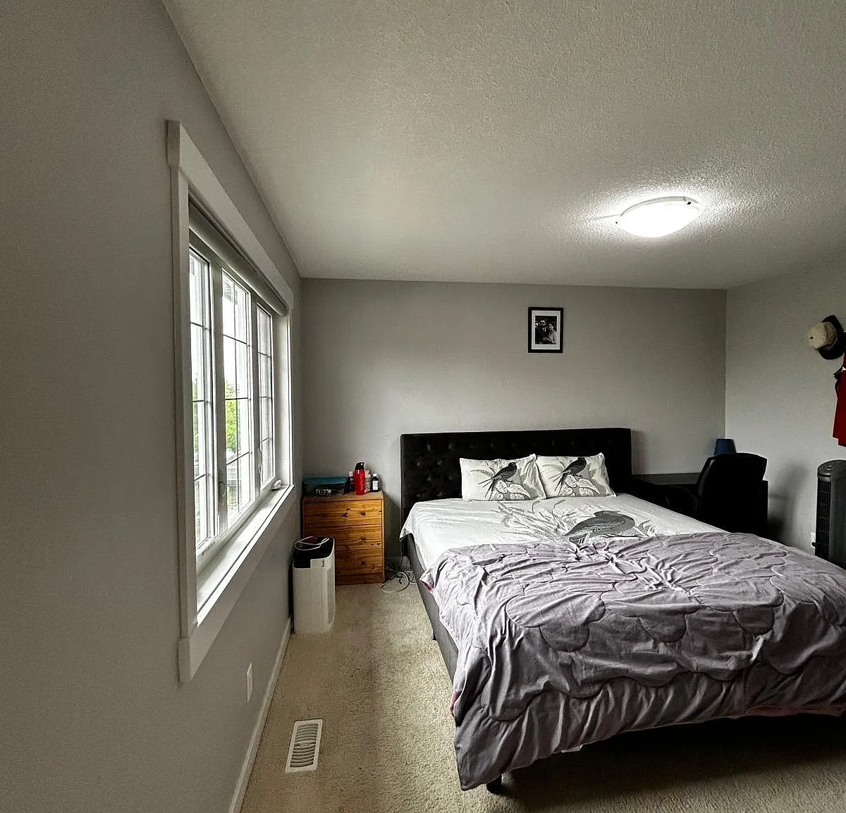 3 bed, 2.5 bath, 1537 sqft, $2,500 — Photo 4