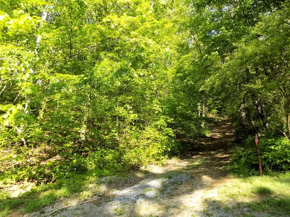 2528 Brisk Way Lot 25&28, Cosby, TN 37722