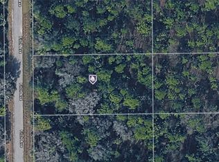 208 Fitch Ave, Lehigh Acres, FL 33936
