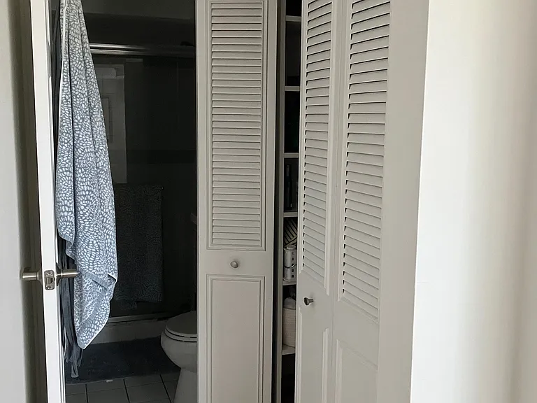 Primary Bedroom (incl. walk-in closet)