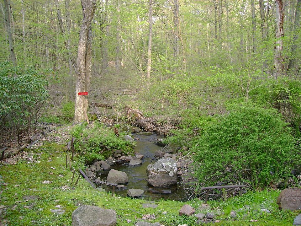 Brook bordering property