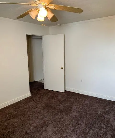445 Cedarville St — Photo 8