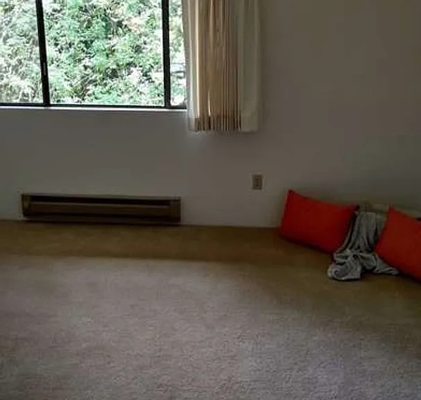 Four Seasons — Photo 16
