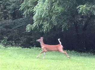 19 Laurel Loop Rd, Fairview, NC 28730