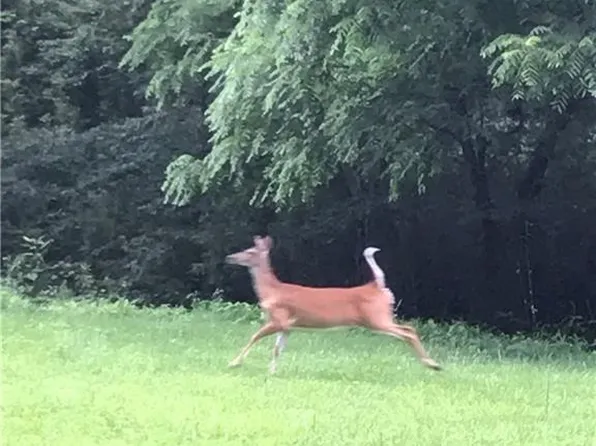 19 Laurel Loop Rd, Fairview, NC 28730