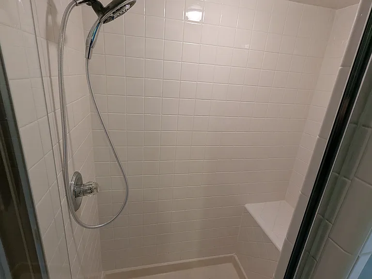 Master bath shower