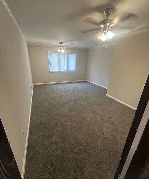 431 Spring Valley Rd — Photo 6