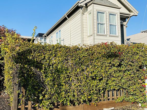 Fully fenced yard with bougainvillea and creeping roses.