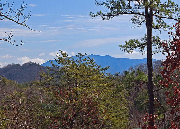 Views of Mount LaConte