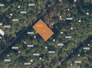 111 SE 3rd St LOT 6, Georgetown, FL 32139