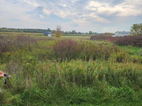 0 Emerald Ln Parcel 7, Almont, MI 48003