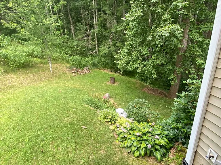 210 Triple Fork Rd — Photo 6