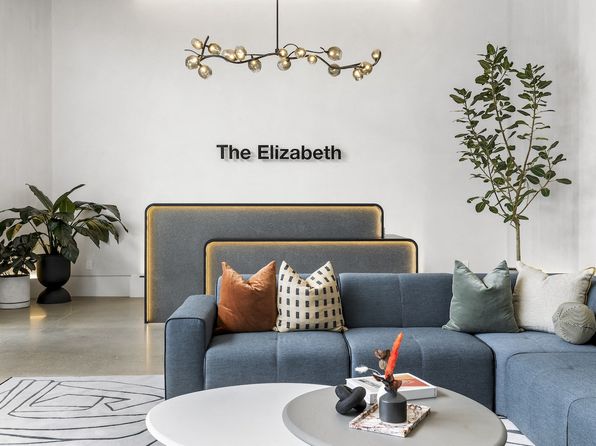 225 N Elizabeth St #1509