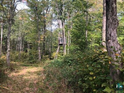 29XX E County Road 103, Barnum, MN, 55707