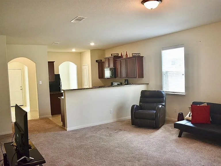 1223 Diamond Drape Dr — Photo 4