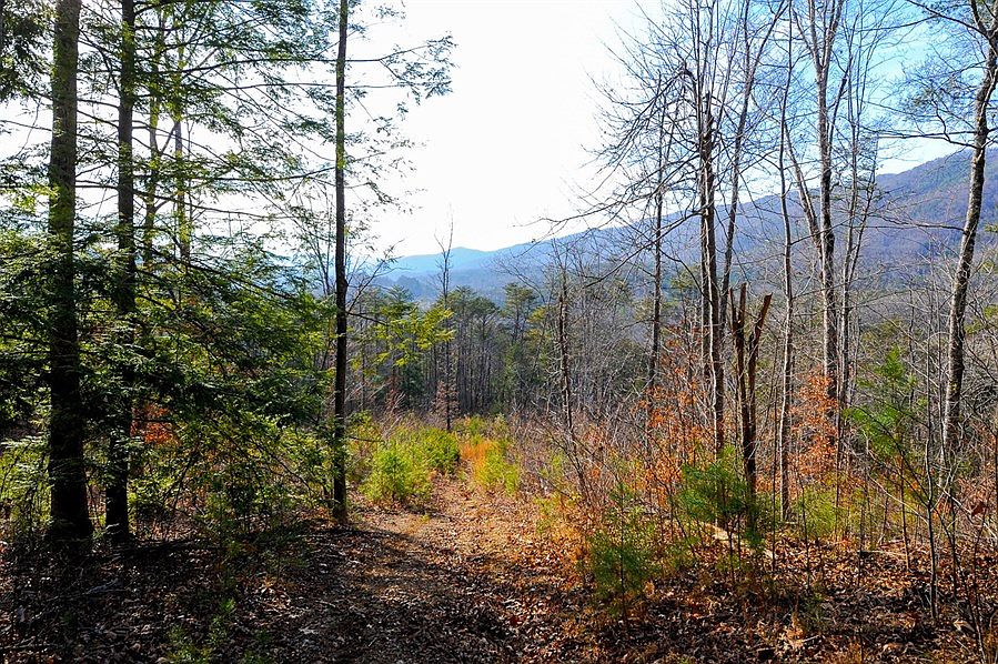 5909 Old Walland Hwy, Walland, TN 37886 Zillow