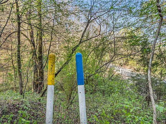 3rd image of Prudes Creek Rd