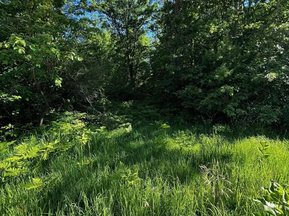 0 E Skeels Rd, Rothbury, MI 49452