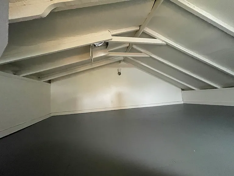 921 Aileen St — Photo 15