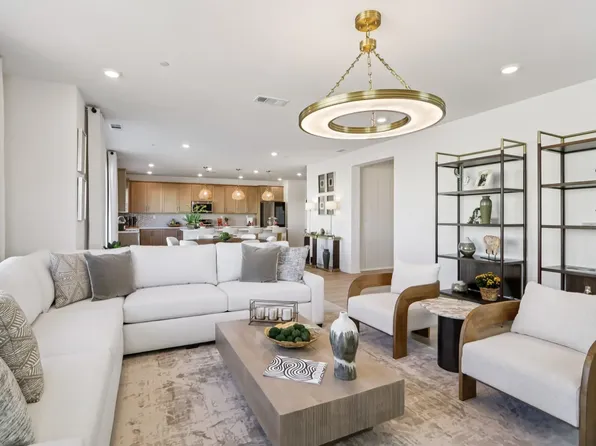 Daisy Plan 4 Plan, Pacific Daisy