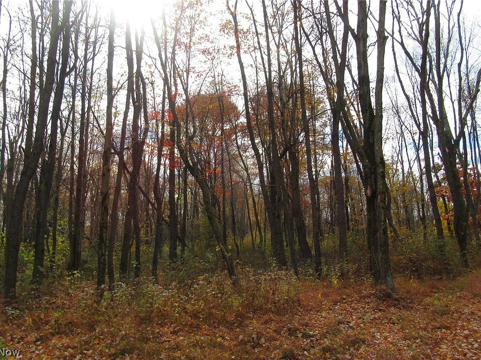 6070 Waynesburg Rd NW, Dellroy, OH 44620 MLS 4419682 Zillow