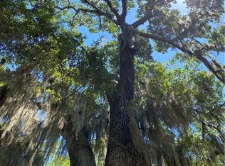 371 Pikes Bluff Dr LOT 226, Saint Simons Island, GA 31522