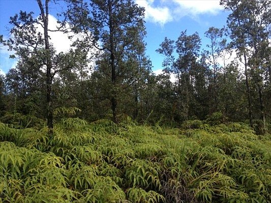 2nd image of S Leilani Blvd Lot 41