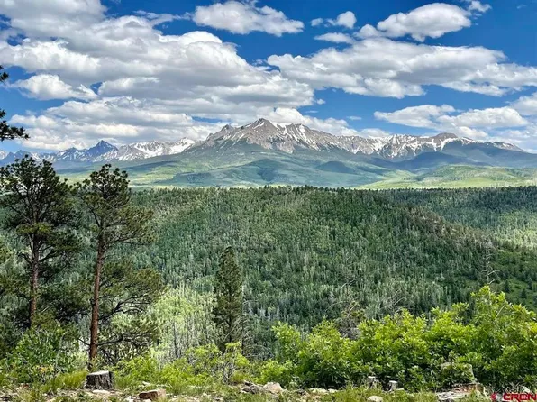 Parcel 11 N Sage Grouse Road, Placerville, CO 81430