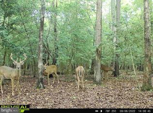 3819 Elliott Island Rd, Vienna, MD 21869