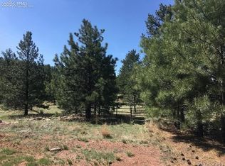 24 Scott Dr, Florissant, CO 80816