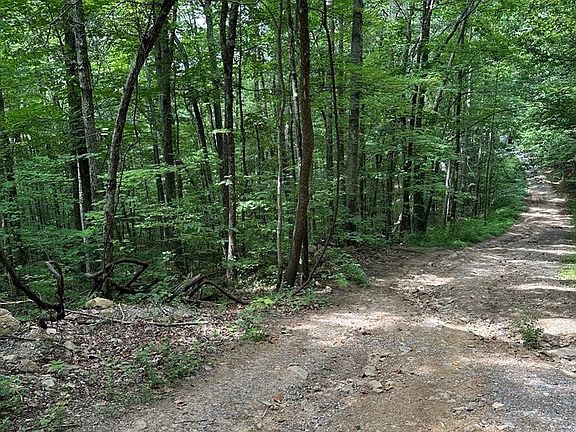 4th image of LOT 44 Hemlock St Lot 44&45