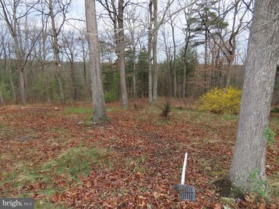 Short Rd, Augusta, WV, 26704