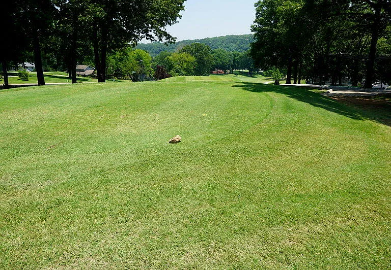 189 Avondale Dr #5 — Photo 27
