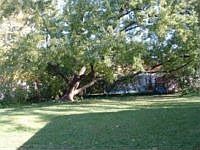 2nd image of 2121 Lewis Dr