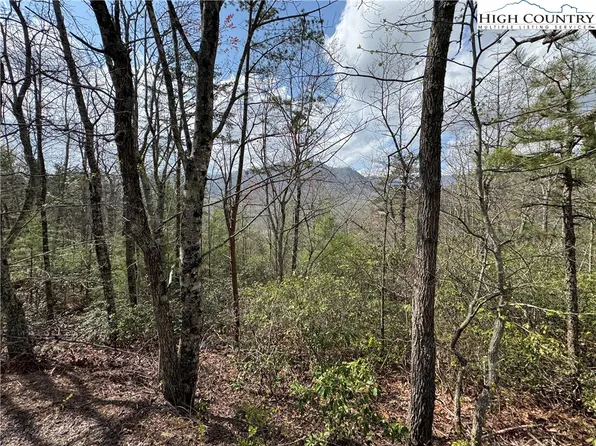 TBD Cherokee Trail, Marion, NC 28752