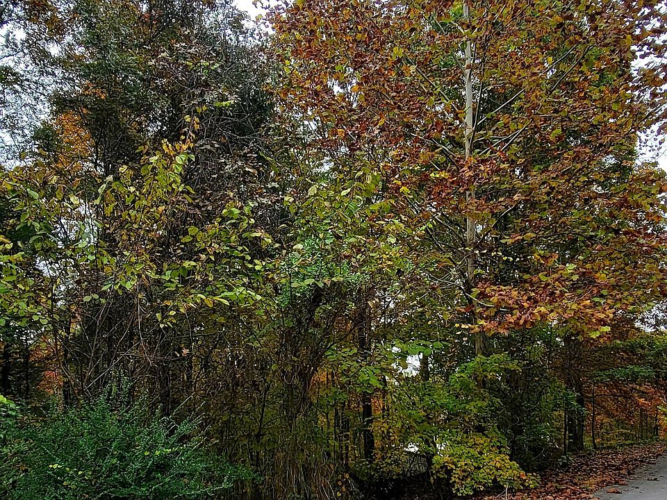 2nd image of 0 Hitching Post Trl Lot 26