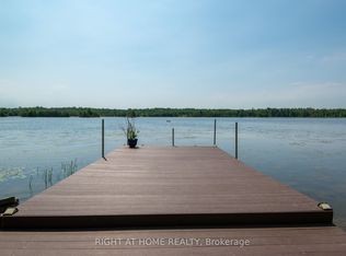 203 McGuire Beach Rd, Kawartha Lakes, ON K0M 2B0