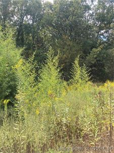  State Road 64, English, IN, 47118