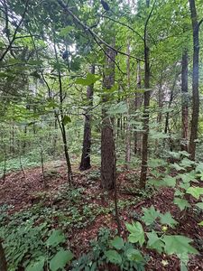 0 Stonegate Rd, Monroe, NC, 28110