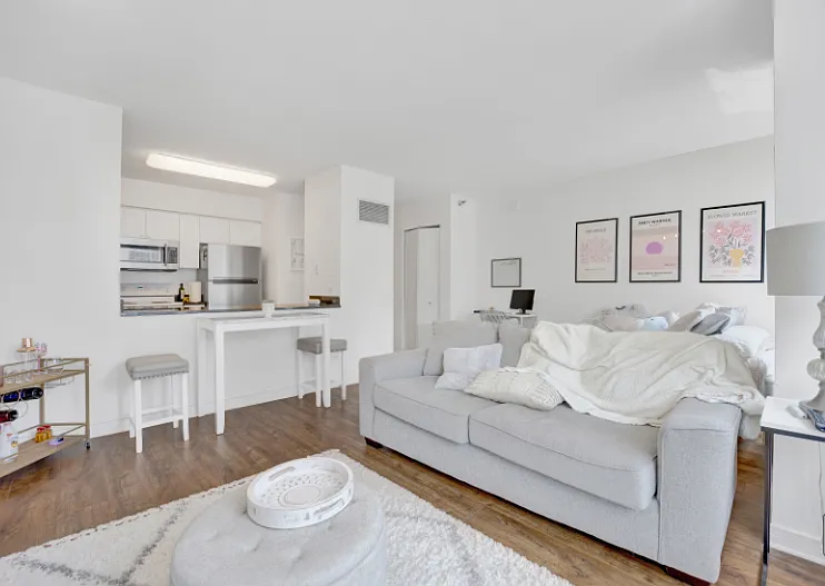 512 N McClurg Ct #1108 — Photo 6